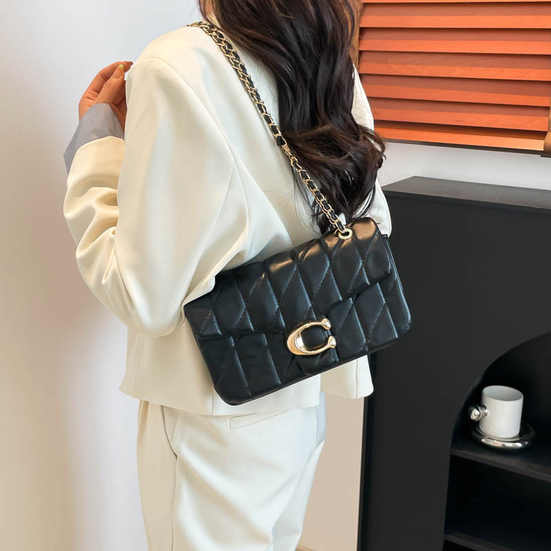 Bolsa Transversal 2026 com Cor - Craft Embellishment Storage avaliação e preço